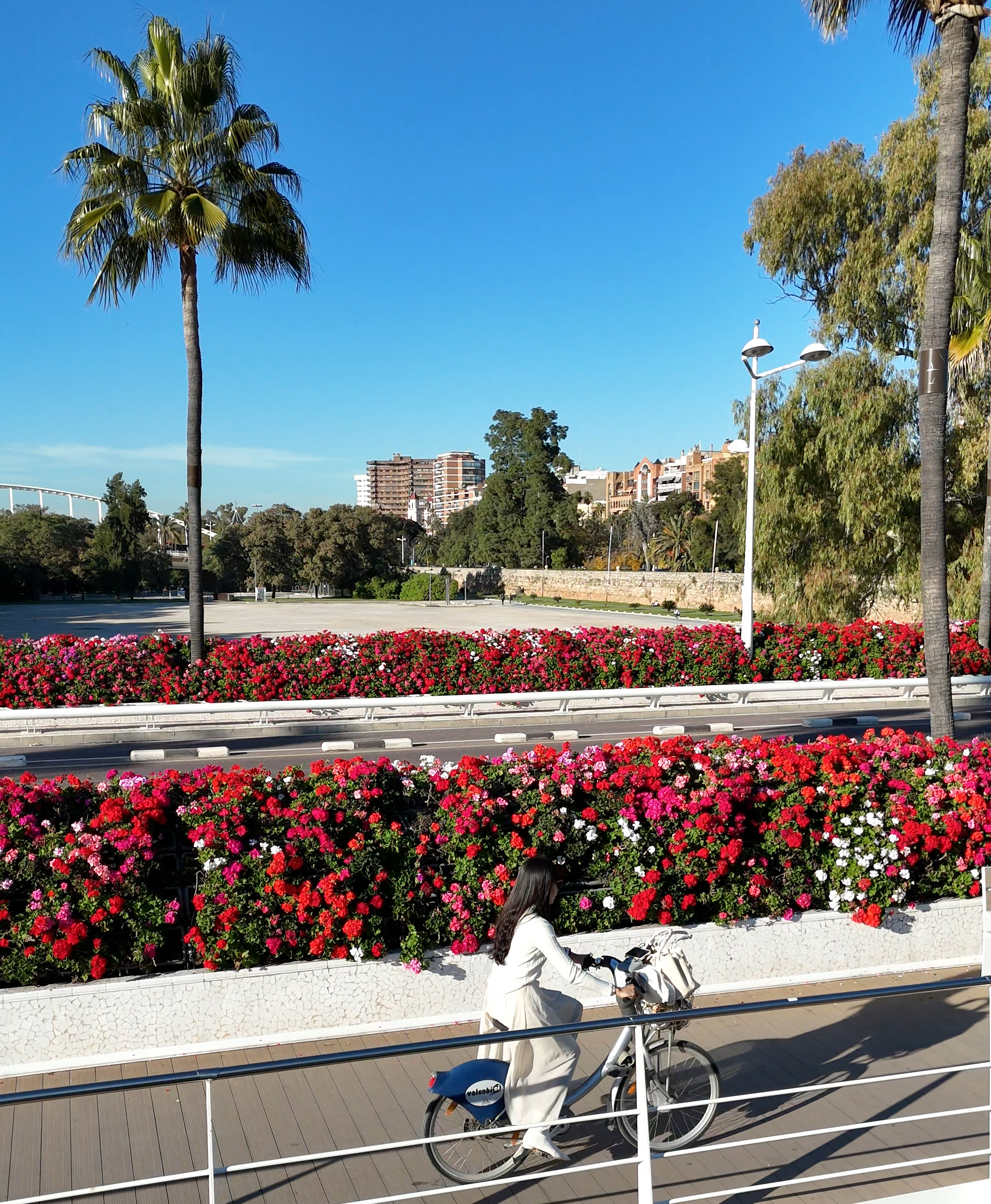 Biking through Turia Park in Valencia on a sunny day