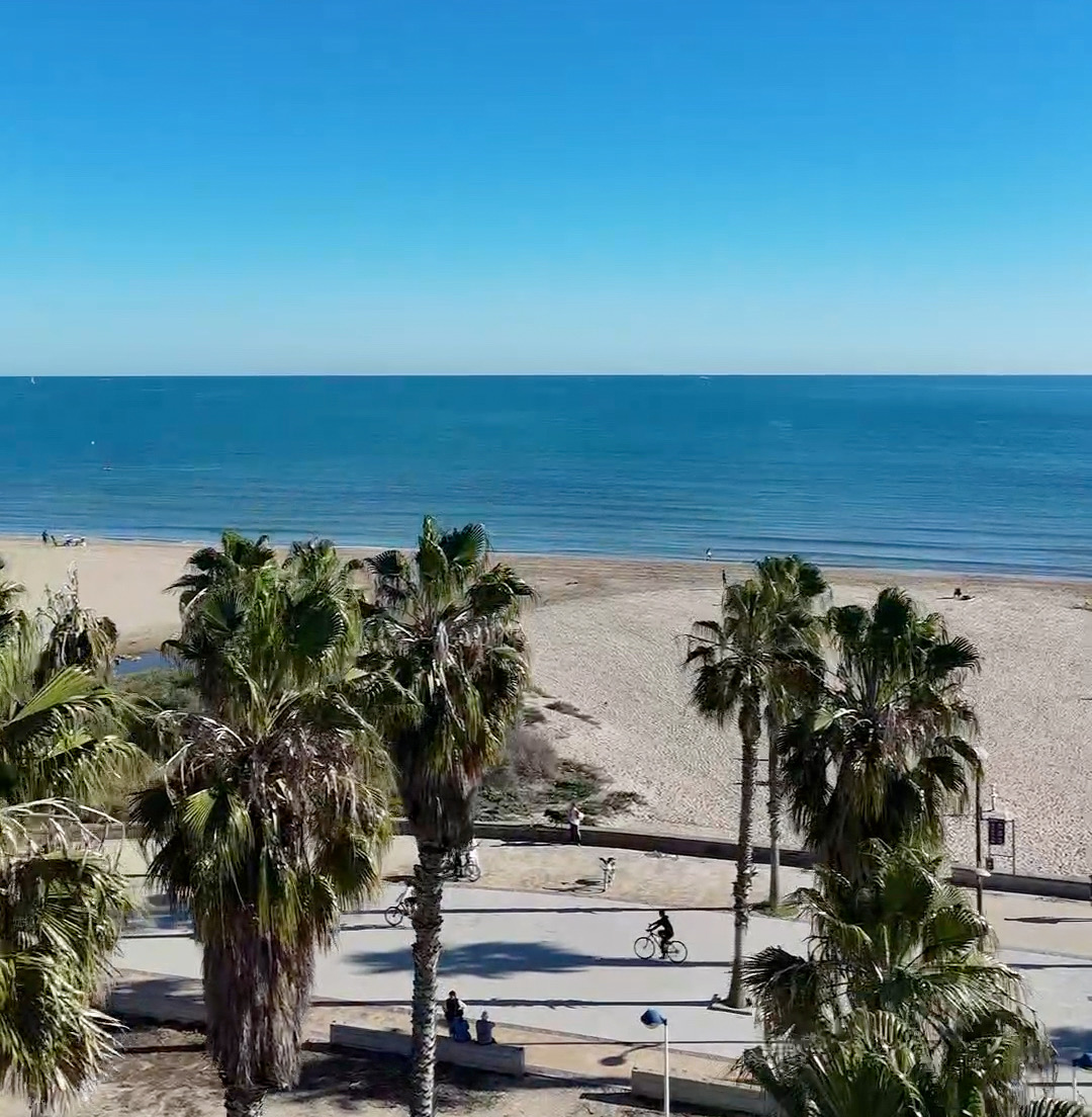 Valencia beach promenade with palm trees showing the balance between city life and nature